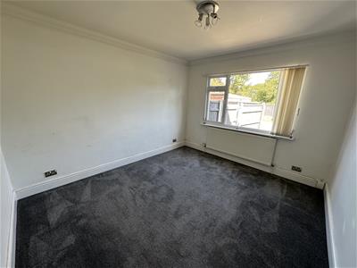 Picture 24